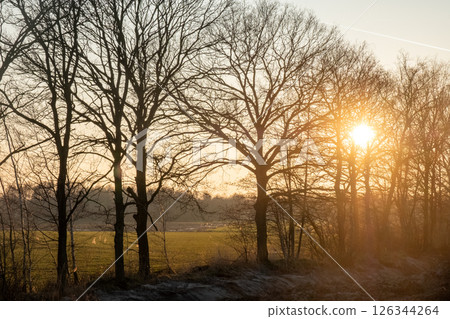 A beautiful sunrise emerges through bare trees in the morning light, bringing calmness A beautiful sunrise emerges through bare trees in the morning light, bringing calmness 126344264