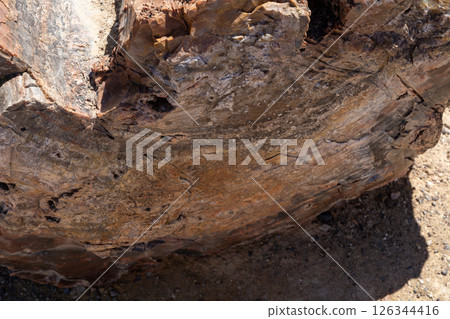 Petrified wood logs on desert ground in Petrified Forest National Park Arizona 126344416