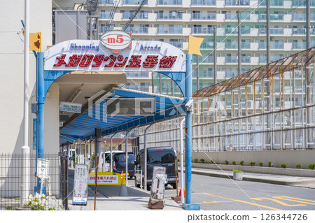 梅加羅鎮第五大道 126344726