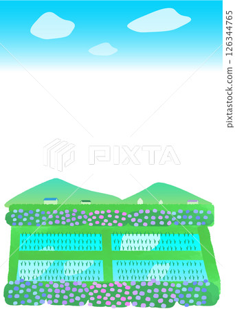 Landscape illustration with rice fields and hydrangeas 126344765