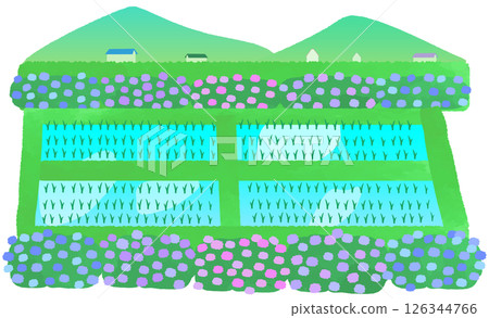 Landscape illustration with rice fields and hydrangeas Landscape illustration with rice fields and hydrangeas 126344766