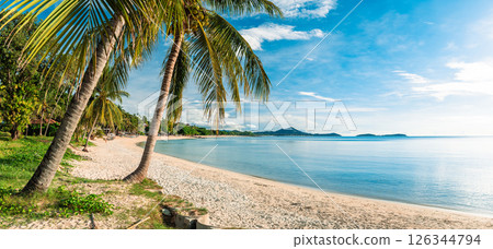 tropical beach with coconut palm trees tropical beach with coconut palm trees 126344794