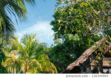 Sanur beach tropical forest in Bali, Indonesia 126344945