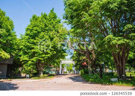 「國立木曾三泉公園」水上世界水鄉公園中心 「國立木曾三泉公園」水上世界水鄉公園中心 126345539