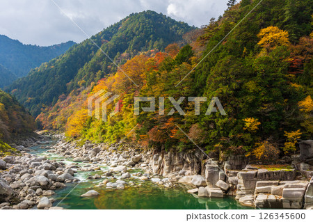 長野縣上松町的秋天-根目床的紅葉 長野縣上松町的秋天-根目床的紅葉 126345600