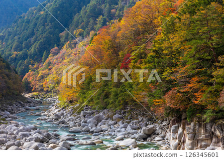 Agematsu Town, Nagano Prefecture in autumn - Autumn leaves on the Nezame Bed Agematsu Town, Nagano Prefecture in autumn - Autumn leaves on the Nezame Bed 126345601