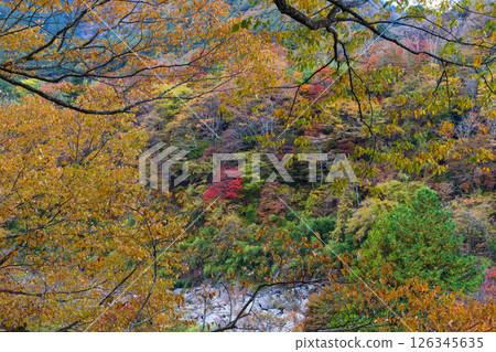 長野縣上松市的秋天：根目洞藝術公園的紅葉 126345635