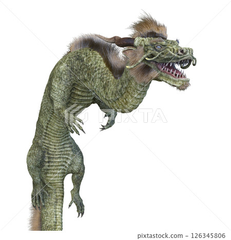 Dragon Dragon 126345806