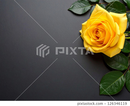 Black background with yellow roses 126346119