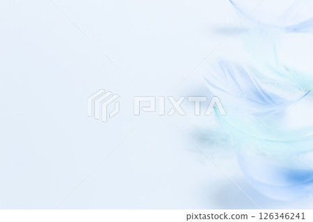 哀悼明信片羽毛背景材料 126346241