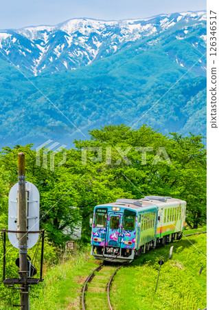 Yamagata Railway Flower Nagai Line: A train running through fresh greenery with snow-capped mountains in the background (Arato-Shiki-no-Sato) 126346517