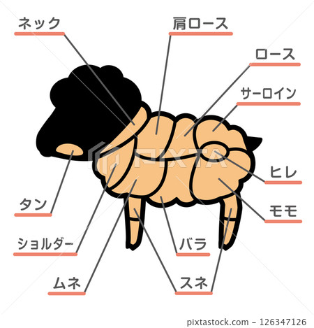 羊肉部位插圖及文字說明 126347126