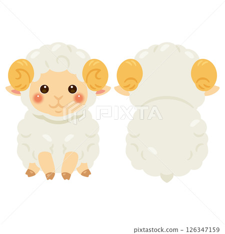 Set of front and back illustrations of a sitting sheep 126347159