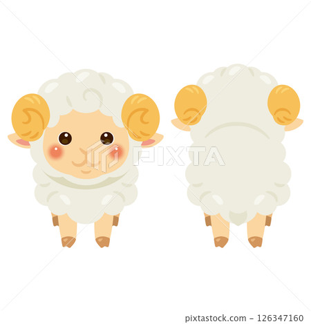 Sheep front and back illustration set Sheep front and back illustration set 126347160