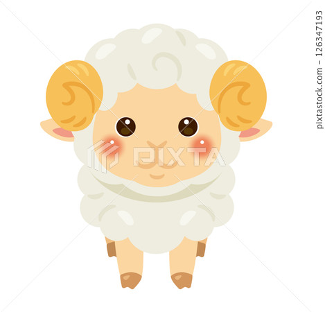 Illustration of a sheep seen from the front Illustration of a sheep seen from the front 126347193