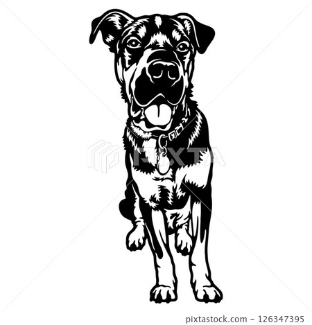 American Staffordshire Terrier Dog Breed - Pet Vector Cut file, Dog Silhouette Stencil - Cricut file 126347395