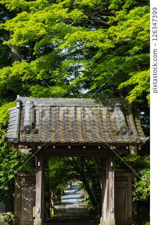 Dragon Tiger Mountain Choanji Temple Dragon Tiger Mountain Choanji Temple 126347399