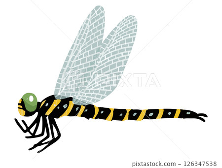 Simple dragonfly vector illustration 126347538