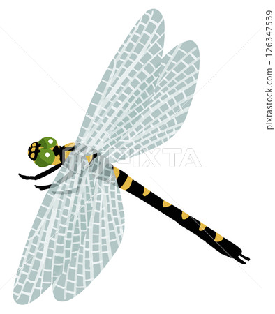 Simple dragonfly vector illustration 126347539