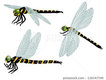 Simple dragonfly vector illustration 126347540
