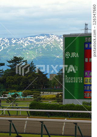 春季的新潟賽馬場 126347660