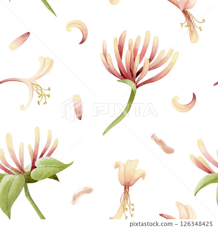 Watercolor honeysuckle flowers and petals watercolor seamless pattern on white. Pastel yellow and pink garden blooming vine plant for spring and summer floral nature designs 126348425