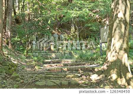 大田區散步：曹洞禪金龍寺、大田市金山町新田吉定紀念塔 126348450