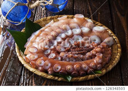 水章魚/Mizudako 126348503