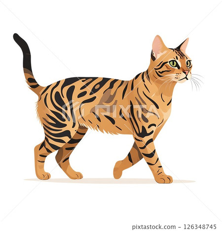 A stylish Bengali cat walking briskly A stylish Bengali cat walking briskly 126348745