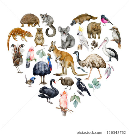 Australia wildlife watercolor illustration set. Hand drawn kangaroo, koala, kookaburra, echidna, platypus, quokka, wombat realistic collection. Australia native birds, animals painted collection 126348762