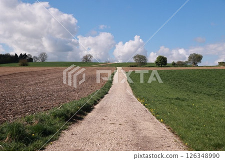 Dirt road runs through a field with trees on either side 126348990