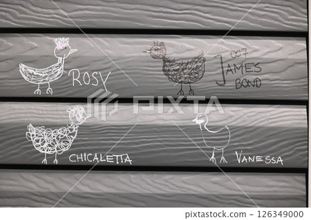 Wall with four drawings of birds and the names Chicaleta, Vanessa, James Bond Wall with four drawings of birds and the names Chicaleta, Vanessa, James Bond 126349000