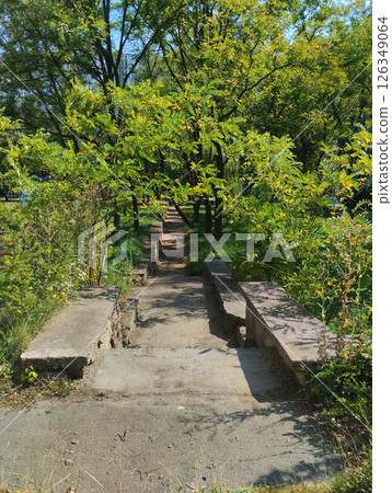 alley with stairs and green bushes on the sides. A place to walk alley with stairs and green bushes on the sides. A place to walk 126349064