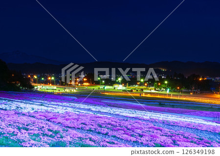 苔蘚石竹在高速公路的燈光下飄浮 126349198