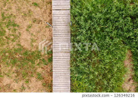 Pathway between dry soil and lush grass illustrating contrasting landscapes in a tranquil outdoor setting Pathway between dry soil and lush grass illustrating contrasting landscapes in a tranquil outdoor setting 126349216