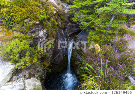 湯加里羅國家公園中的瀑布 湯加里羅國家公園中的瀑布 126349496