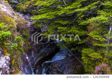 湯加里羅國家公園中的瀑布 湯加里羅國家公園中的瀑布 126349499