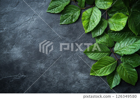 Succulent plants with green leaves bordering a dark slate stone background. Copy space. Generative AI. Succulent plants with green leaves bordering a dark slate stone background. Copy space. Generative AI. 126349580