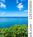 Clear sea horizon 126349800