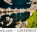Illuminated cherry blossoms at night 126349819