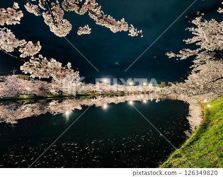 Cherry blossoms at the river side at night Cherry blossoms at the river side at night 126349820