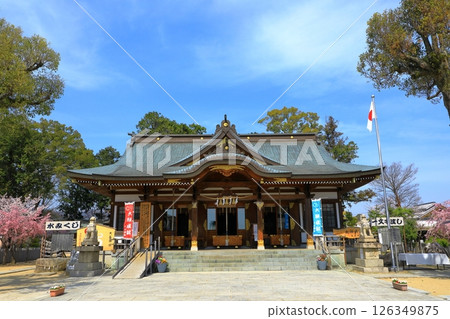 春天的赤穗大石神社 126349875