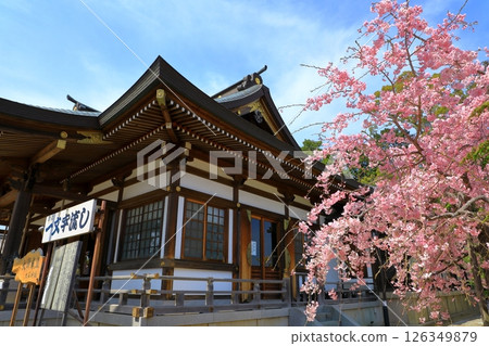 Ako Oishi Shrine in Spring Ako Oishi Shrine in Spring 126349879