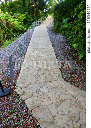 CAVE OKINAWA and Ryukyu limestone walking trails (Uruma City, Okinawa Prefecture) 126349881