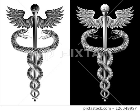 Caduceus Medical Asclepius Rod Doctor Symbol Icon Caduceus Medical Asclepius Rod Doctor Symbol Icon 126349957