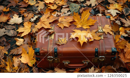 Vintage leather suitcase covered in autumn leaves, lying on the ground in a forest or park during fall. 126350025