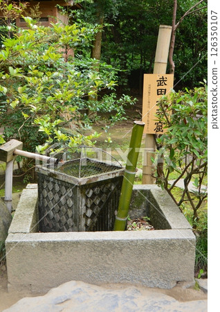 Takeda Suikinkutsu (Takeda Shrine grounds / Kofuchucho, Kofu City, Yamanashi Prefecture) Takeda Suikinkutsu (Takeda Shrine grounds / Kofuchucho, Kofu City, Yamanashi Prefecture) 126350107