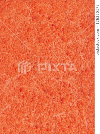 Sponge. Abstract texture 126350172