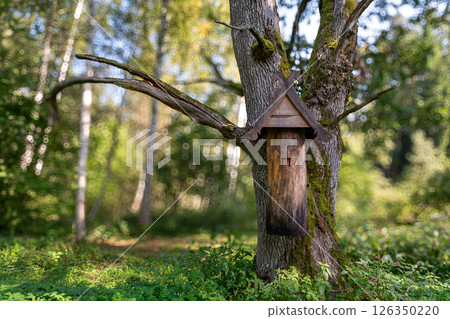 A rustic wooden birdhouse nestled in a tree surrounded by lush greenery on a sunny day in spring 126350220