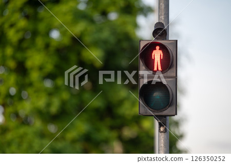 Red Pedestrian Traffic Light in Front of Green Trees During Daytime Red Pedestrian Traffic Light in Front of Green Trees During Daytime 126350252